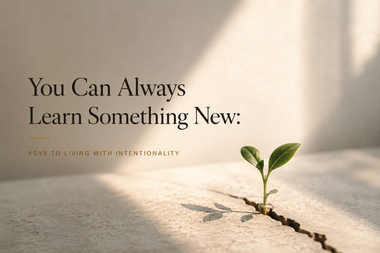 You Can Always Learn Something New: Keys to Living with Intentionality